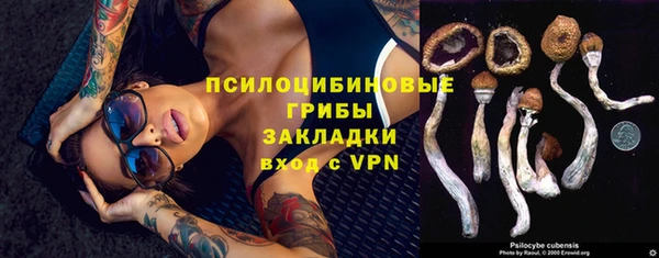 таблы Алексин